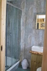 a bathroom with a shower and a sink at The Moo-tel at Moody Meadows in Aberaeron +92 photos