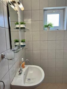 baño con lavabo, espejo y macetas en Villa MAXIMILIYAN, en Albena