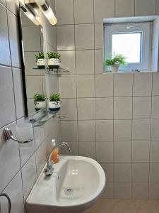 Koupelna v ubytování Villa MAXIMILIYAN + 34 fotografií