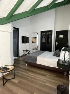 TV a/nebo společenská místnost v ubytování Hotel Santiago de Arma