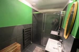 zieloną łazienkę z umywalką i lustrem. w obiekcie Le Postillon Quinto w mieście Entremont-le-Vieux
