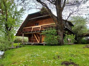 a log cabin in the woods with a tree at Provinces Idille in Gulbene