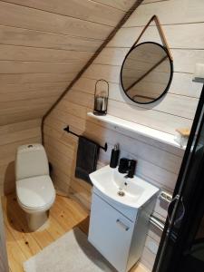 a bathroom with a toilet and a sink and a mirror at Provinces Idille in Gulbene