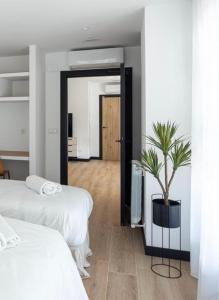 a bedroom with two beds and a potted plant at DONOSTIA ROOMS in San Sebastián