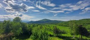 a green field with trees and mountains in the background at Sunset House Sarajevo in Sarajevo +55 photos