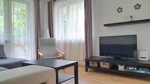Televízia a/alebo spoločenská miestnosť v ubytovaní Apartmán Pálenica II
