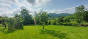 a green field with a tree in the middle of it at Sunset House Sarajevo in Sarajevo