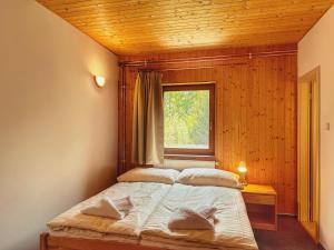 ein Schlafzimmer mit einem Bett und einem Fenster in der Unterkunft Penzion Peklo in Jeseník