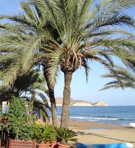 dos palmeras en una playa con el océano en AS019 2-Bedroom Casa Calypso - in Calas del Pinar, en San Juan de los Terreros