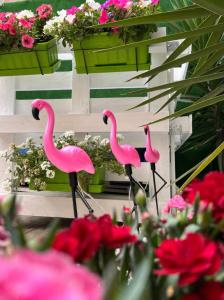 Trois flamants se tiennent dans un groupe de fleurs dans l'établissement Casa Flamingo, à Figueira da Foz