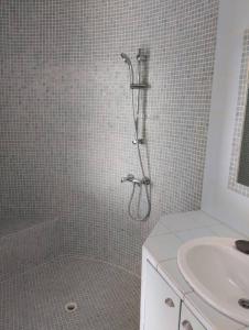 ein Bad mit einer Dusche und einem Waschbecken in der Unterkunft Studio avec jacuzzi privatif. in Grasse