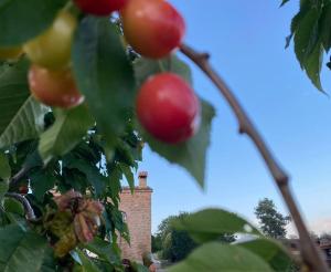 Fotografie z fotogalerie ubytování Vila-seca, vine i desconnecta! v destinaci Aguilar de Segarra