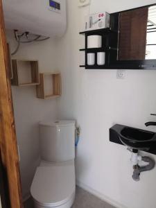 ein Badezimmer mit einem weißen WC und einem Waschbecken in der Unterkunft Conteneur face aux vignes in Massillargues-Attuech