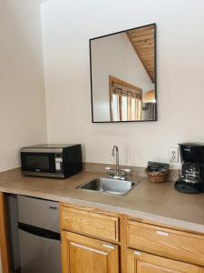 - un comptoir de cuisine avec évier et four micro-ondes dans l'établissement Cozy Cabin suite bed and breakfast, à Woodland Park