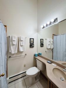 a bathroom with a toilet and a sink and a mirror at Cozy Cabin suite bed and breakfast in Woodland Park