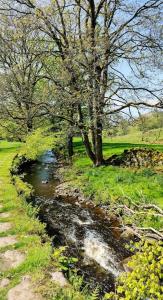 a stream of water next to a field with trees at House - Alton Towers,Peak District,Wildlife Park in Leek