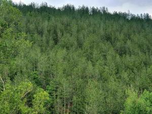 Galeriebild der Unterkunft Green View 1 in Skrino + 25 Fotos