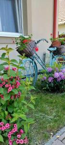 Una bicicleta azul estacionada junto a una ventana con flores en A Zoldbiciklis Haz en Egerszalók