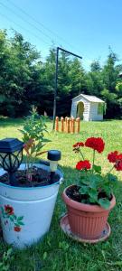 A garden outside A Zoldbiciklis Haz