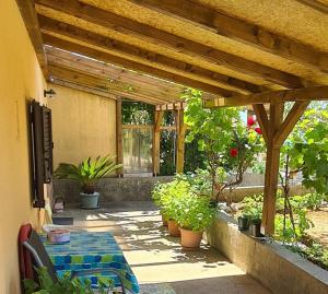 Zahrada ubytování STUDIO APARTMAN STARA BAŠKA