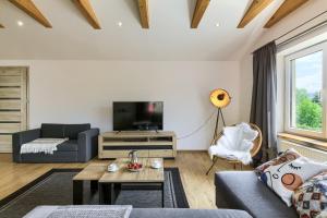 uma sala de estar com um sofá e uma televisão em Apartament Abra 1 Rynek 8 em Muszyna