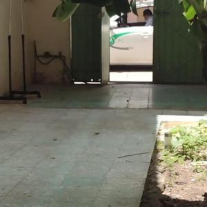 Gallery image of Barrio de Santiago Tixtla in Zanjón