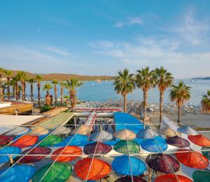 a bunch of umbrellas on a beach with palm trees at Gumbet Anil Beach in Gümbet