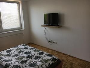 a bedroom with a bed and a flat screen tv at Apartma Lunca 2 in Ljubljana