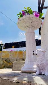 una estatua de un perro sentado junto a un plantador con flores en Casa Rural Inés cerca del Caminito del Rey, en Álora