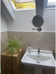 a bathroom with a sink and a mirror at Burwood House 