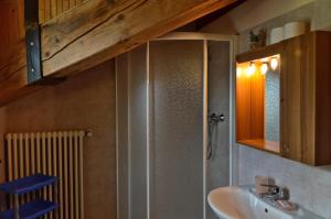 a bathroom with a shower and a sink and a mirror at Appartamenti Luseney in Bionaz