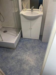 une salle de bain avec lavabo et douche dans l'établissement Magnifique studio en bord de mer, à Calvi