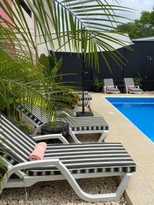 eine Reihe von Liegestühlen neben einem Pool in der Unterkunft Hotel Daleese in Uvita