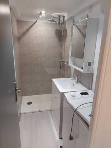 baño pequeño con ducha y lavamanos en Large cozy studio in Castellane /Gorges du Verdon, en Castellane 25 fotos más