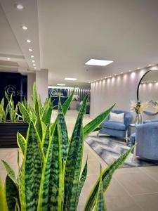 a plant in the middle of a lobby at Luxury Suites Gema by Cadissa in Medellín