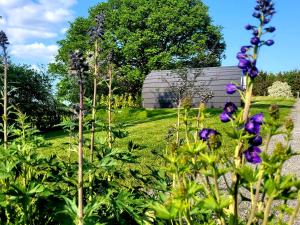 a garden with purple flowers and a building in the background at Odli Glamping - Deri in Welshpool