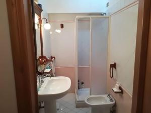 y baño con lavabo y ducha. en A Casa di Martina, en Montefiascone