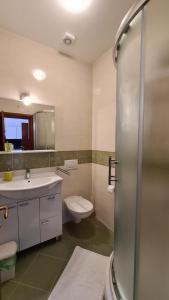 ein Bad mit einem WC, einem Waschbecken und einer Dusche in der Unterkunft Apartments Rupe in Primošten