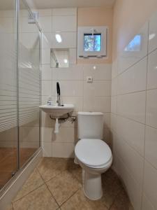 a bathroom with a toilet and a sink and a shower at Chatky U Davida Máchovo jezero in Doksy