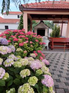 Vonkajšia záhrada v ubytovaní Apartments MARKO-Sevid-20m from the beach