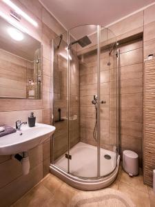 W łazience znajduje się prysznic i umywalka. w obiekcie Simple Suite w mieście Horní Radechová