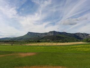 a green field with a mountain in the background at La Remise de Francillon in Francillon-sur-Roubion +2 photos