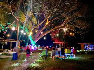 a group of people standing under a large tree at night at Sunset Hut Hostel in Omoa +37 photos