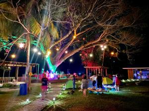 eine Gruppe von Menschen, die nachts unter einem großen Baum stehen in der Unterkunft Sunset Hut Hostel in Omoa