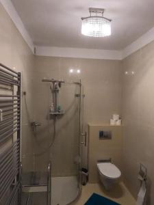 a bathroom with a shower and a toilet and a chandelier at Sunny Apartment with Terrace Tatragolf H104 in Veľká Lomnica +8 photos