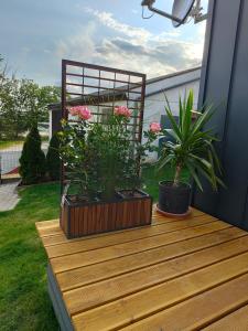 Zahrada ubytování Mariolas Tinyhouse