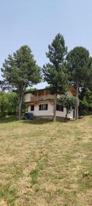 uma casa com duas árvores num campo em Kuca idealna za odmor i uzivanje u Vrdniku broj 4 em Vrdnik