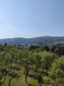 um campo de árvores com montanhas ao fundo em Kuca idealna za odmor i uzivanje u Vrdniku broj 4 em Vrdnik
