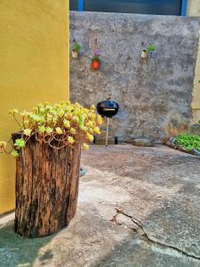 Gambar di galeri bagi House Lopica di Senj