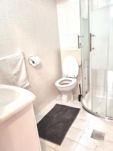a bathroom with a toilet and a sink and a shower at House Lopica in Senj